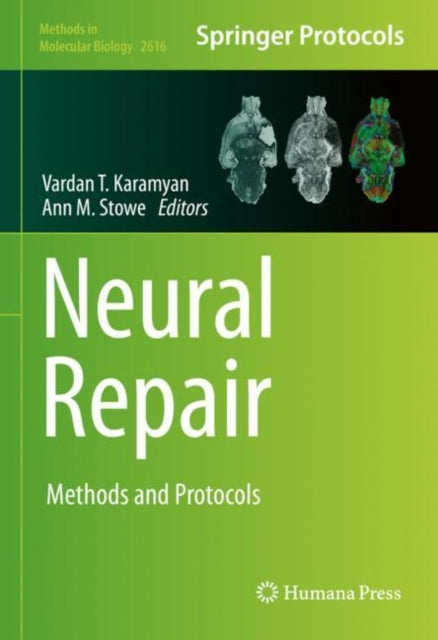 Book cover of: Neural Repair. By: Vardan T. Karamyan