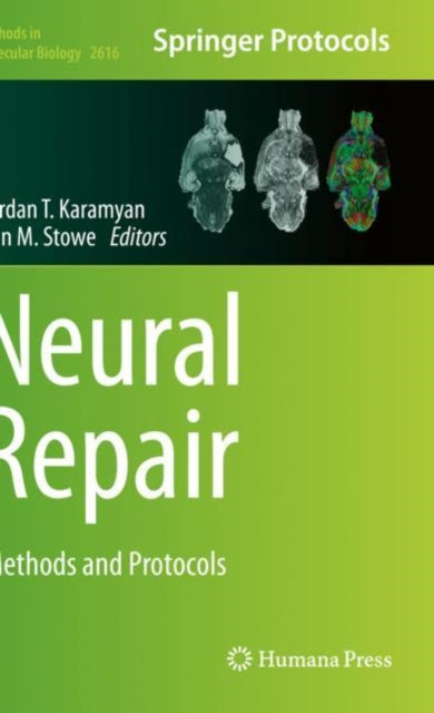 Book cover of: Neural Repair. By: Vardan T. Karamyan