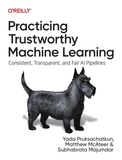 Book cover of: Practicing Trustworthy Machine Learning. By: Yada Pruksachatkun