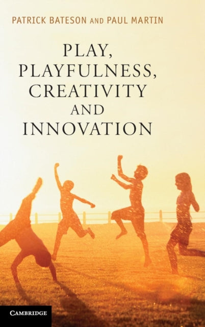 Book cover of: Play, Playfulness, Creativity and Innovation. By: Patrick Bateson