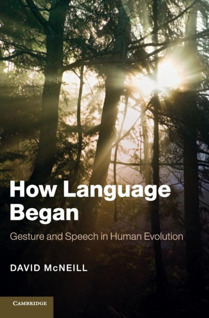 Book cover of: How Language Began. By: David McNeill