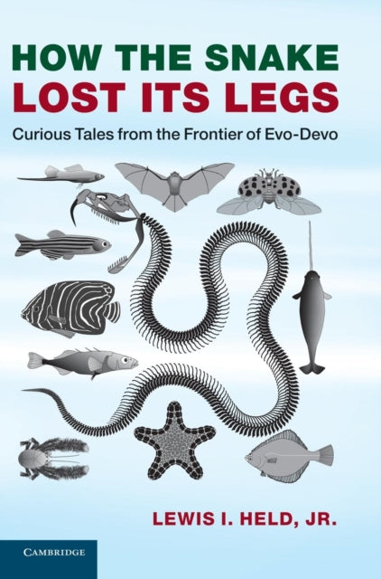 Book cover of: How the Snake Lost its Legs. By: Held, Lewis I., Jr.