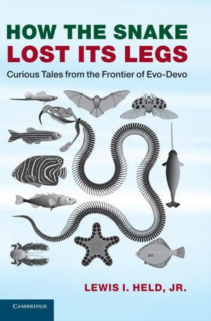 How the Snake Lost its Legs