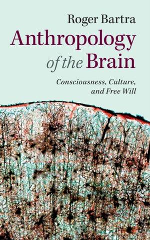 Anthropology of the Brain
