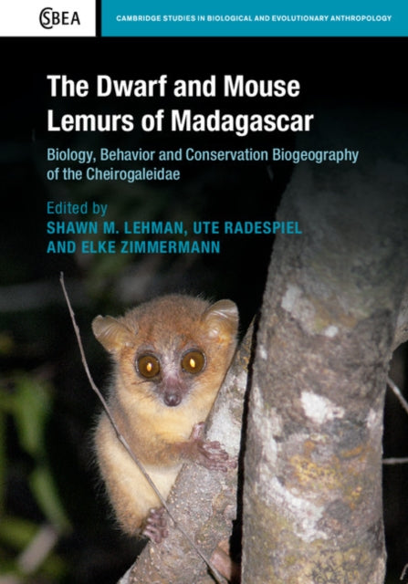 Book cover of: Dwarf and Mouse Lemurs of Madagascar. By: Shawn M. Lehman