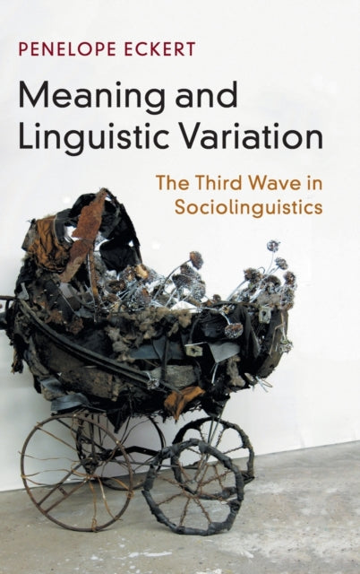 Meaning and Linguistic Variation
