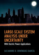Book cover of: Large-Scale System Analysis Under Uncertainty. By: Alejandro D. Domínguez-García