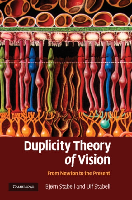 Duplicity Theory of Vision