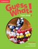 Book cover of: Guess What! Level 3 Pupil's Book British English. By: Susannah Reed