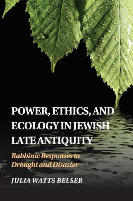 Power, Ethics, and Ecology in Jewish Late Antiquity