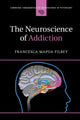Book cover of: Neuroscience of Addiction. By: Francesca Mapua Filbey