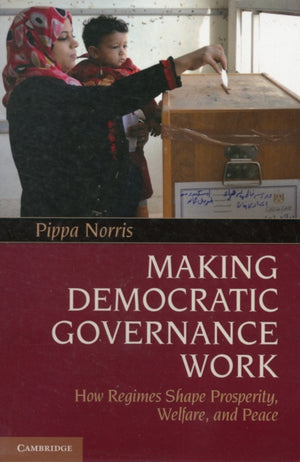 Making Democratic Governance Work