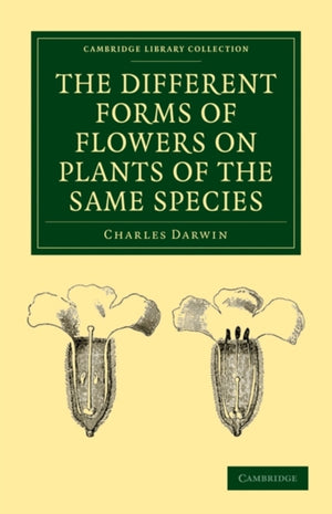 Different Forms of Flowers on Plants of the Same Species