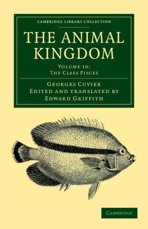 The Animal Kingdom
