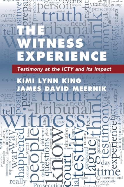 Book cover of: Witness Experience. By: Kimi Lynn King