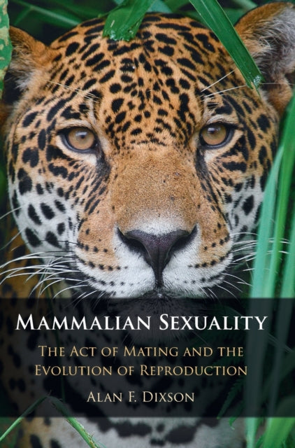 Mammalian Sexuality
