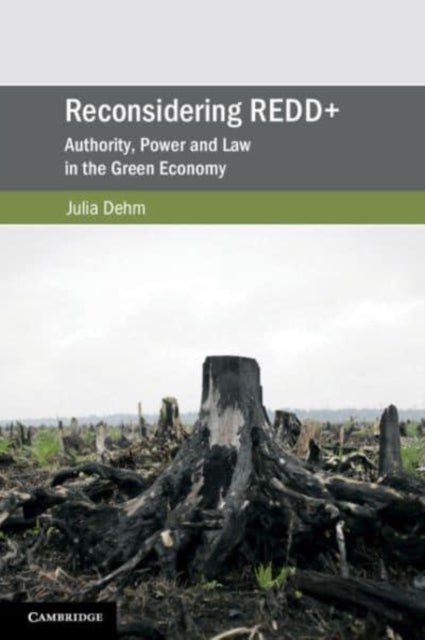 Book cover of: Reconsidering REDD+. By: Julia Dehm