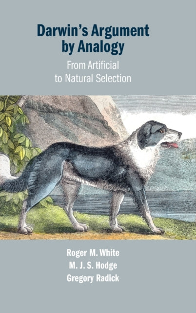 Book cover of: Darwin's Argument by Analogy. By: Jonathan Hodge