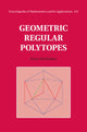 Geometric Regular Polytopes