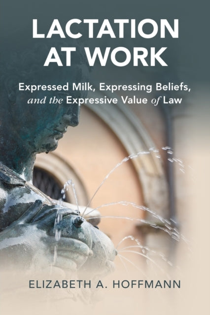 Book cover of: Lactation at Work. By: Elizabeth A. Hoffmann