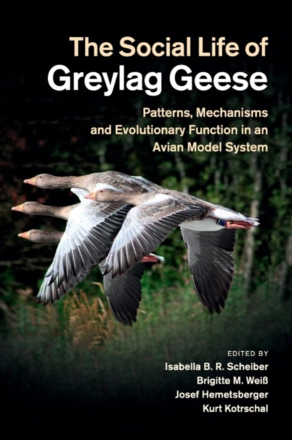 Book cover of: Social Life of Greylag Geese. By: Isabella B. R. Scheiber