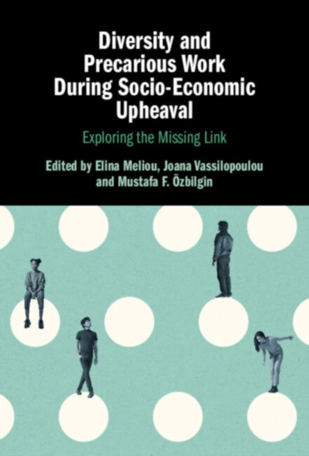 Book cover of: Diversity and Precarious Work During Socio-Economic Upheaval. By: Elina Meliou