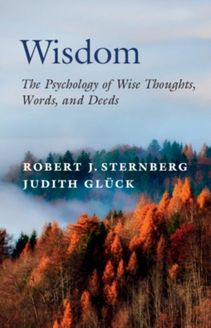 Book cover of: Wisdom. By: Robert J. Sternberg