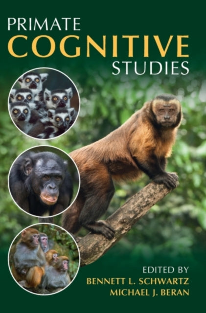 Primate Cognitive Studies