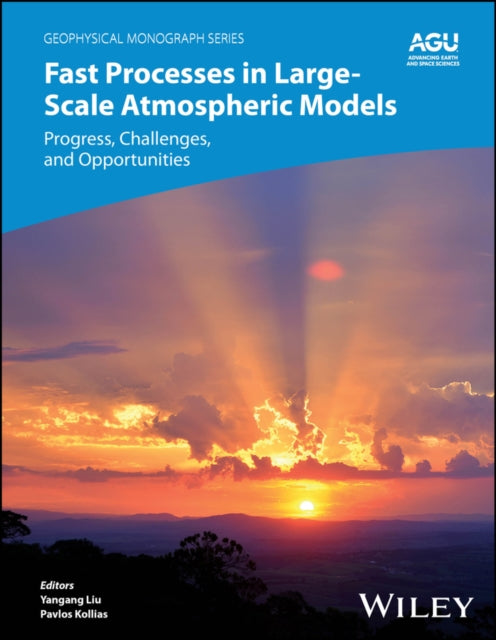 Book cover of: Fast Processes in Large-Scale Atmospheric Models. By: Liu