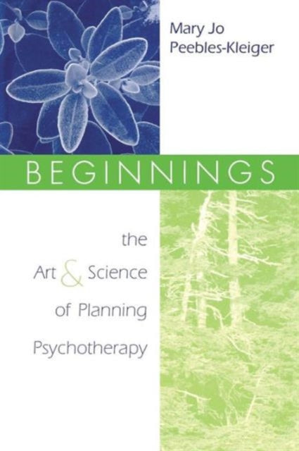Book cover of: Beginnings. By: Mary Jo Peebles-Kleiger