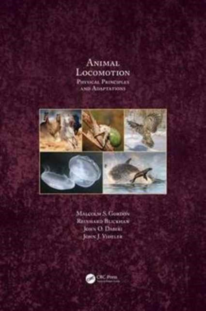 Book cover of: Animal Locomotion. By: Malcolm S. Gordon