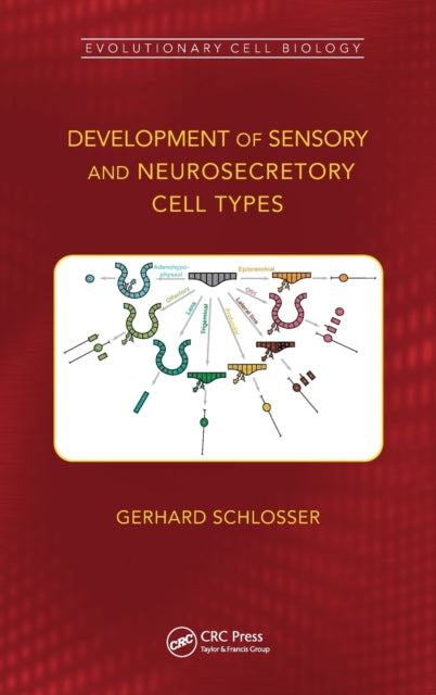 Book cover of: Development of Sensory and Neurosecretory Cell Types. By: Gerhard Schlosser