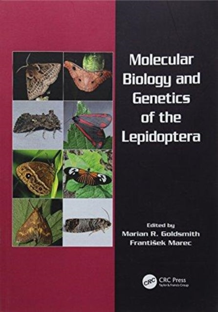 Book cover of: Molecular Biology and Genetics of the Lepidoptera. By: Marian R. Goldsmith