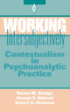 Book cover of: Working Intersubjectively. By: Donna M. Orange