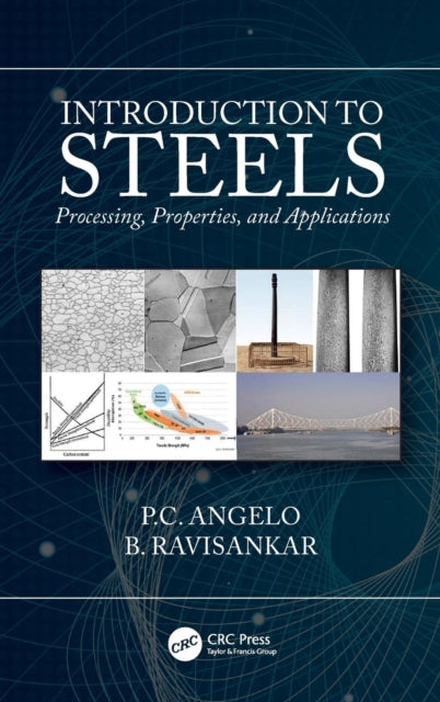 Book cover of: Introduction to Steels. By: P. C. Angelo