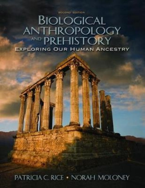 Book cover of: Biological Anthropology and Prehistory. By: Patricia C. Rice