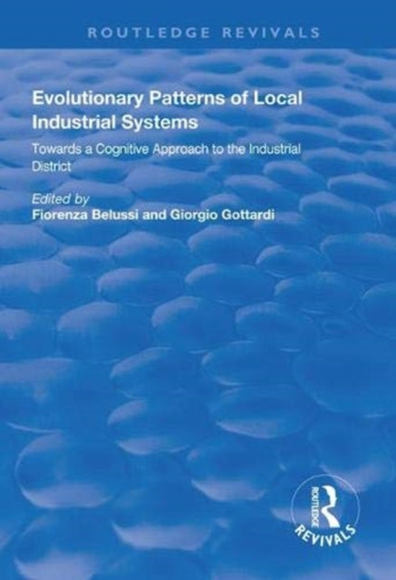 Book cover of: Evolutionary Patterns of Local Industrial Systems. By: Fiorenza Belussi