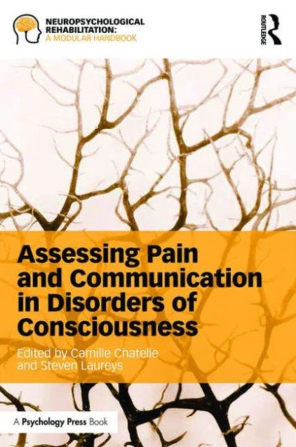 Book cover of: Assessing Pain and Communication in Disorders of Consciousness. By: Camille Chatelle