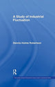 Book cover of: Study Indust Fluctuations Lse