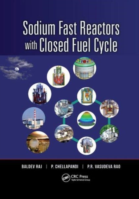 Book cover of: Sodium Fast Reactors with Closed Fuel Cycle. By: Baldev Raj