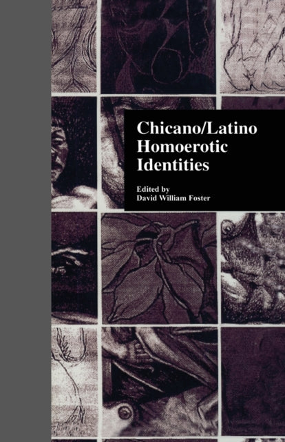 Book cover of: Chicano/Latino Homoerotic Identities. By: David W. Foster