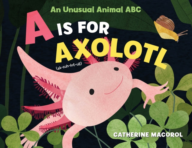 Book cover of: Is for Axolotl: An Unusual Animal ABC. By: Catherine Macorol