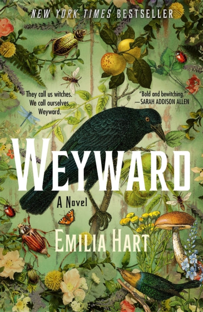 Book cover of: Weyward. By: Emilia Hart