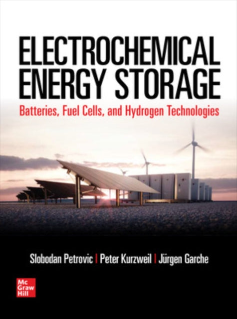 Book cover of: Electrochemical Energy Storage. By: Slobodan Petrovic