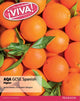 Viva! AQA GCSE Spanish Higher Student Book