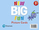 Book cover of: New Big Fun - (AE) - 2nd Edition (2019) - Picture Cards - Level 1