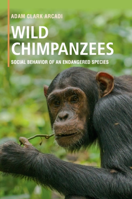 Book cover of: Wild Chimpanzees. By: Adam Clark Arcadi