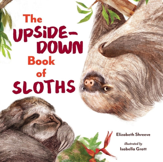 Book cover of: Upside-Down Book of Sloths. By: Elizabeth Shreeve