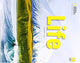 Book cover of: Life: Combo Split 1A with Web App