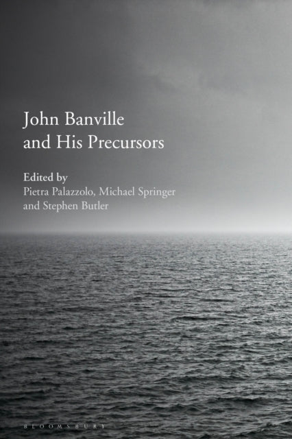 Book cover of: John Banville and His Precursors. By: Pietra Palazzolo